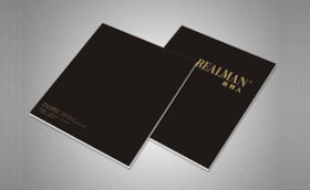 字體中國(guó)畫(huà)冊(cè)設(shè)計(jì)案例 成功案例解析與企業(yè)形象策劃的完美融合